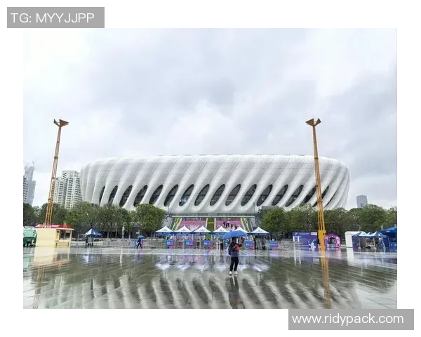 羽毛球的力量与坚持：深入深圳羽毛球队的耐力训练与精神探索